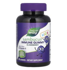 Nature's Way, Sambucus, стандартизована бузина для дітей, 60 жувальних таблеток