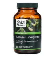 Gaia Herbs, Astragalus, 120 веганських рідких фітокапсул