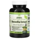 Herbal Secrets, екстракт босвелії, 600 мг, 120 капсул